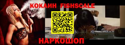 стафф Кингисепп