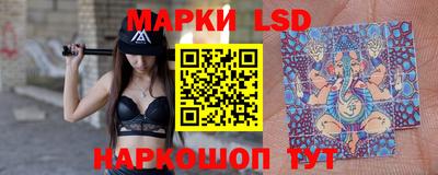 стафф Кингисепп
