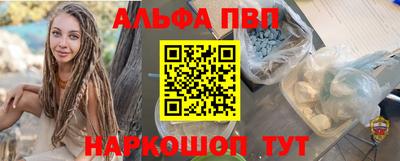 стафф Кингисепп
