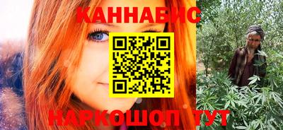 стафф Кингисепп