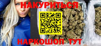 стафф Кингисепп
