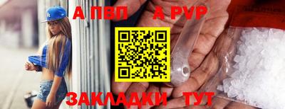 стафф Кингисепп