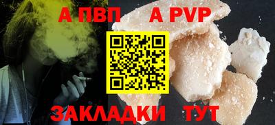 стафф Кингисепп