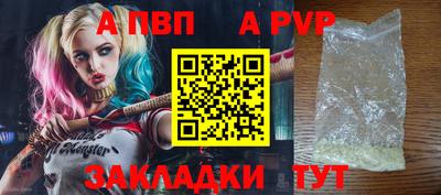 стафф Кингисепп