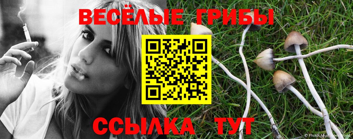 Галлюциногенные грибы мухоморы  наркотики  Галлюциногенные грибы GOLDEN TEACHER  Канаш  Вход с VPN 
