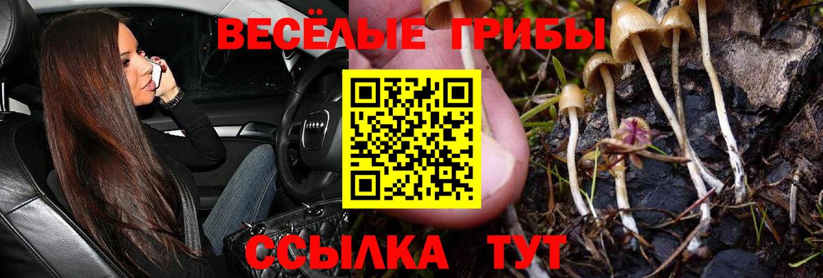 Псилоцибиновые грибы Magic Shrooms Канаш
