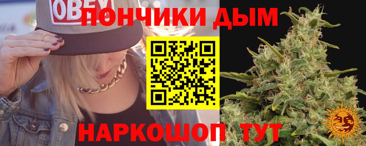 Канаш  Бошки марихуана марихуана  Вход с VPN  Шишки марихуана семена  Конопля гибрид 